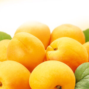 Ovocná pomazánka s meruňkami 4 kg